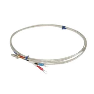 Dây dò nhiệt độ Omron E52-CA1DY (loại K, đầu dò 1cm)