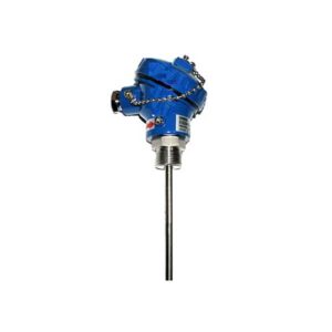 Đầu dò nhiệt độ Omron E52MY-PT20C (loại PT100, 20cm)