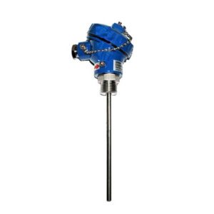 Đầu dò nhiệt độ Omron E52MY-PT30C (loại PT100, 30cm)