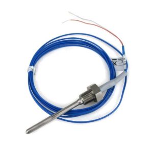 Dây dò nhiệt Omron E52-CA6D-N 2M (loại K, đầu dò 5cm)