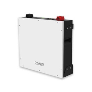 Pin lưu trữ lithium Dyness 5.12 kWh DL5.0C 51.2V/100Ah