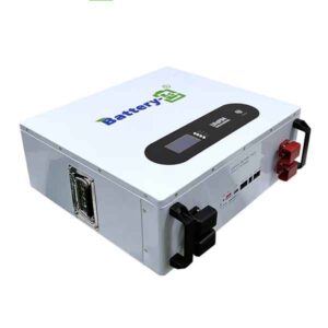 Pin Lưu Trữ LS Battery 5.12kWh 100Ah-51.2V